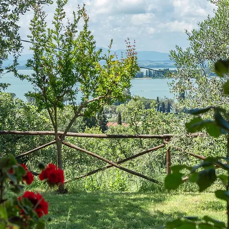 Daria - Garden, Swimming Pool, Lake View * マジョーネ